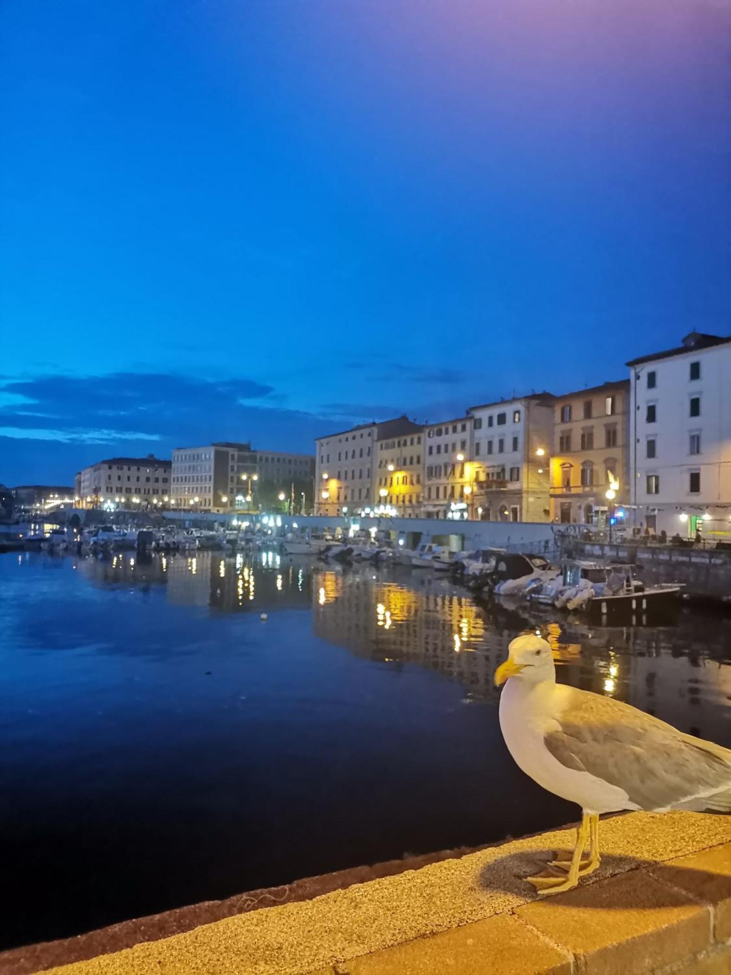 Residenza Vittoria Livorno Apartment Exterior photo
